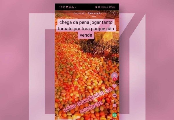 Reprodução/Comprova