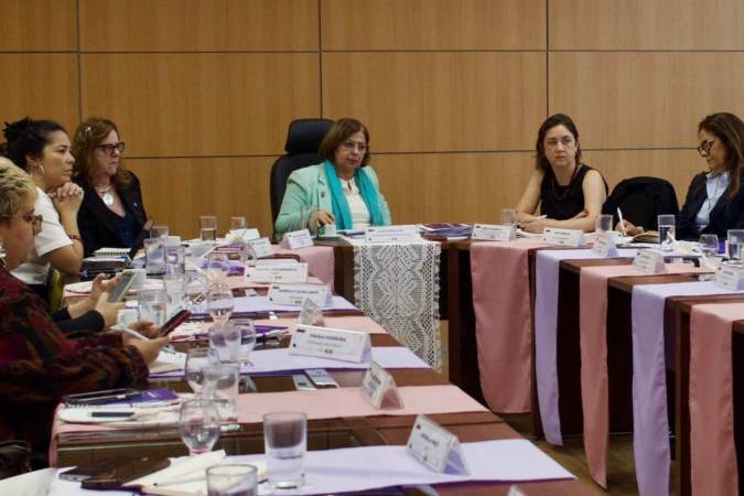 A ministra Cida Gonçalves em encontro com mulheres jornalistas  -  (crédito:  Dandara Lima/Minist..rio das Mulheres)