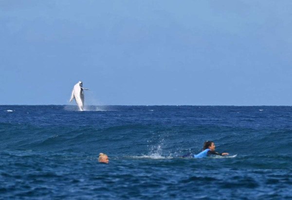 JEROME BROUILLET / AFP