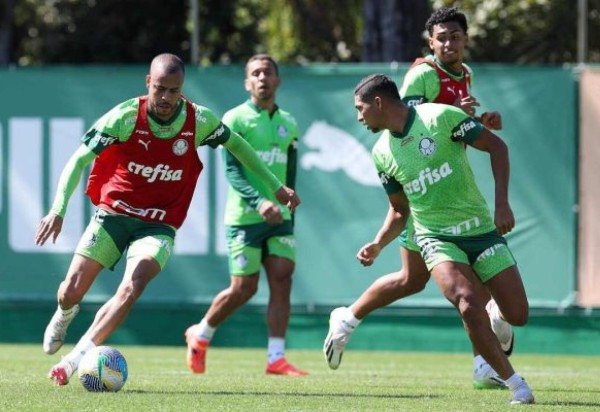 Foto: Cesar Greco/Palmeiras