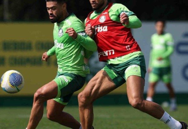 Foto: Cesar Greco/Palmeiras