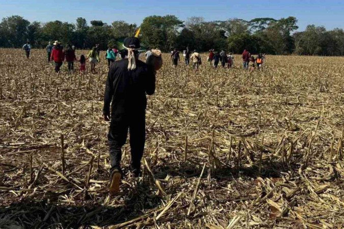 O Ministério dos Povos Indígenas enviou uma equipe da pasta e da Fundação Nacional do Índio (Funai) para a localidade -  (crédito: Eloy Terena/Instagram)