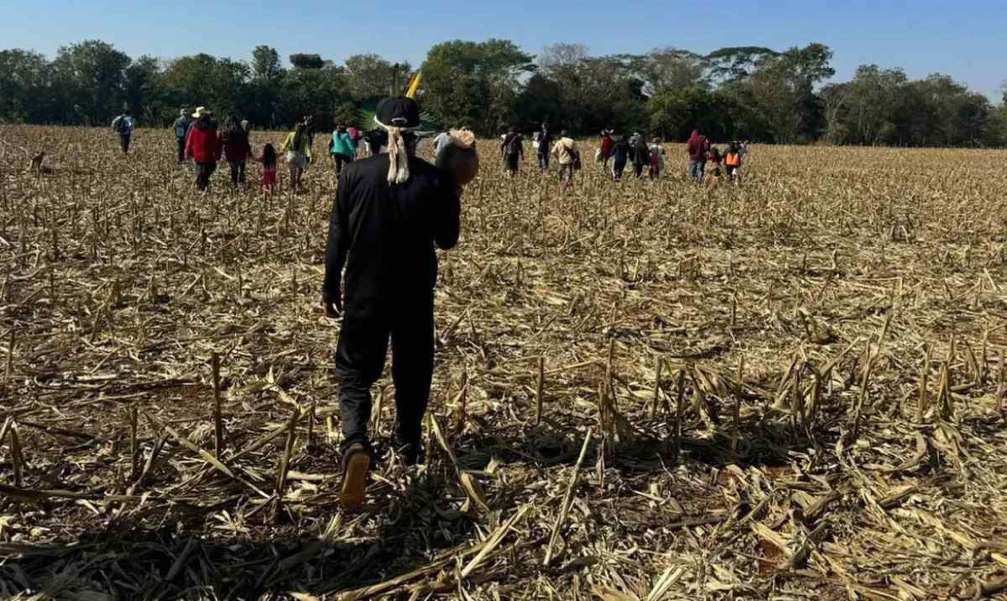 Justiça suspende reintegração de posse em terra Guarani Kaiowá em Douradina