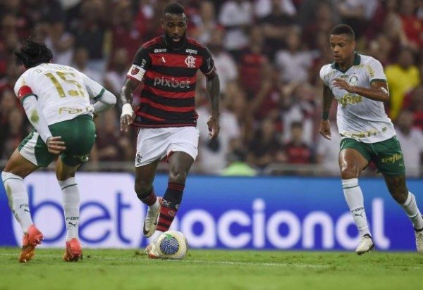 Foto: Divulgação/Flamengo/Palmeiras
