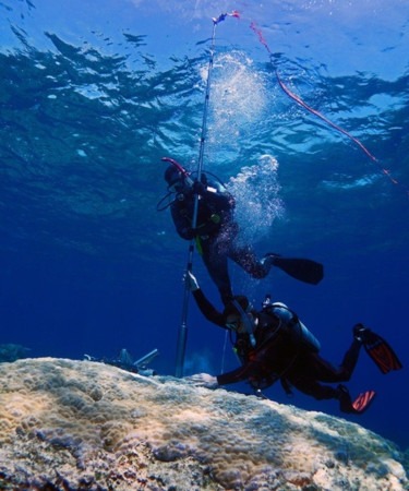 Pesquisadores perfuram o núcleo esquelético de um coral na Austrália, para avaliar o impacto do aquecimento global nesses animais únicos 

 -  (crédito: Tane Sinclair-Taylor/Divulgação )