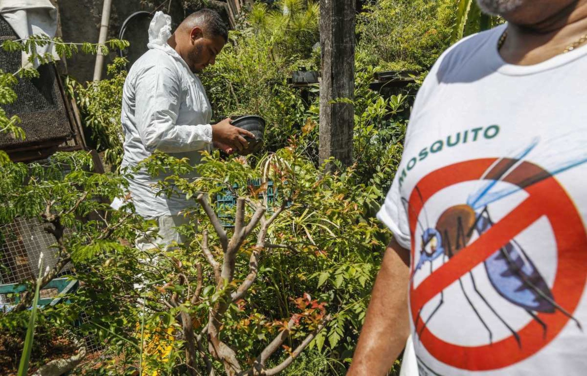 Brasil registrou mais de 5 mil mortes por dengue em 2024