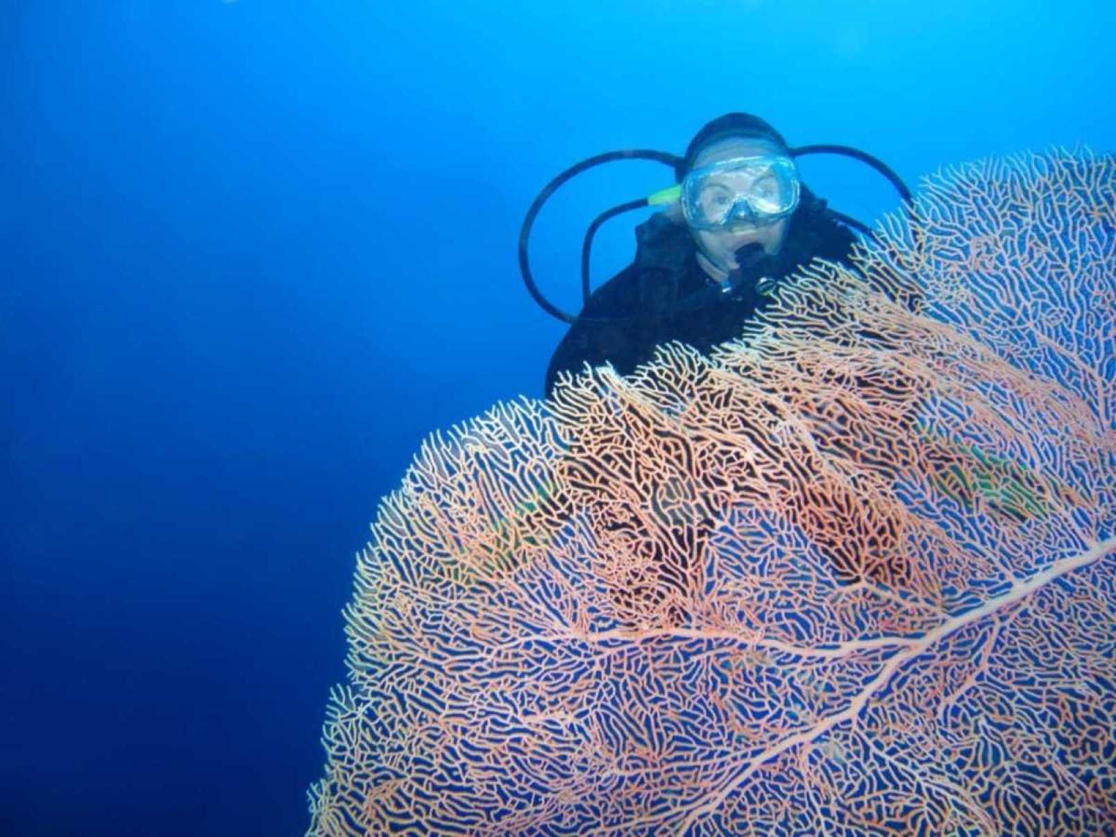 Vera Reichert reflete sobre os biomas do planeta em fotos expostas no MAB