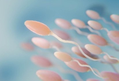 A cirurgia de revers&atilde;o visa recriar a via natural de passagem dos espermatozoides. -  (crédito: Freepik) -A cirurgia de revers&atilde;o visa recriar a via natural de passagem dos espermatozoides. -  (crédito: Freepik)