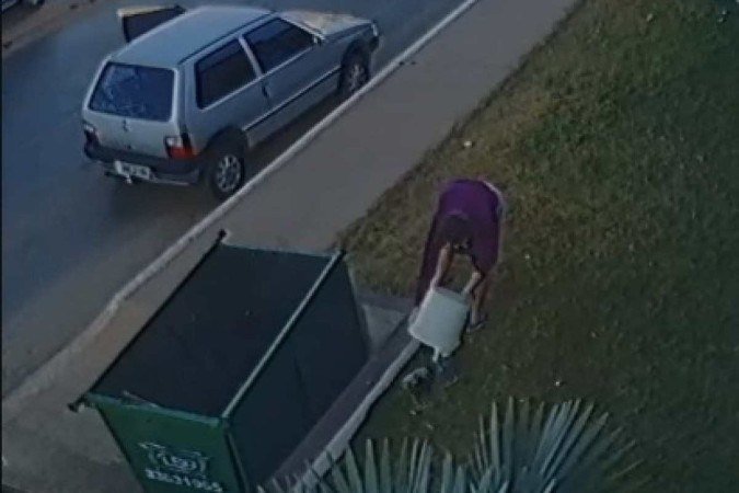 Mulher que abandonou filhotes de gato em Vicente Pires responderá por crime de maus tratos