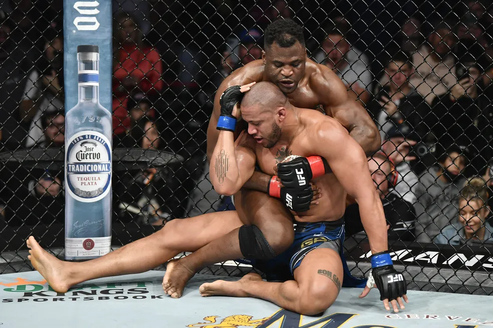 Ciryl Gane e Francis Ngannou -  (crédito: Foto: Internet)