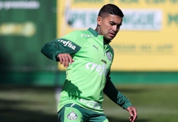 Cesar Greco / Palmeiras