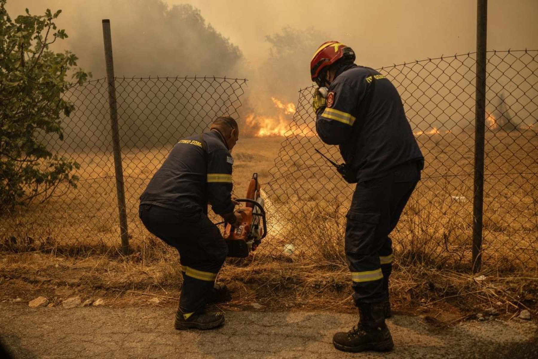  Greek firefighters saw a fence to enter a field as they try to extinguish a wildfire near Penteli, 12 August 2024. Greeces civil protection authorities ordered the evacuation of several towns in the north-eastern suburbs of Athens, threatened by a violent fire that started the day before and is spreading. European Union said that four countries -- Italy, France, the Czech Republic and Romania -- would send assistance at the request of Greece which is combating a massive wildfire burning through Athens suburbs. (Photo by Angelos TZORTZINIS / AFP)       