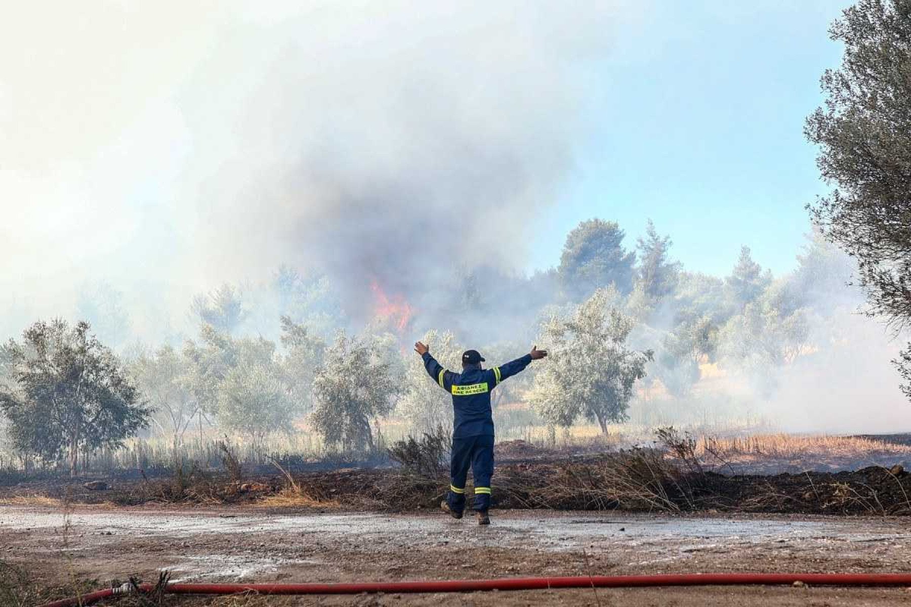  A firefighter gestures as he coordinates the fight against a wildfire in Grammatikos region in Attica on August 12, 2024. (Photo by Aris Oikonomou / AFP)       