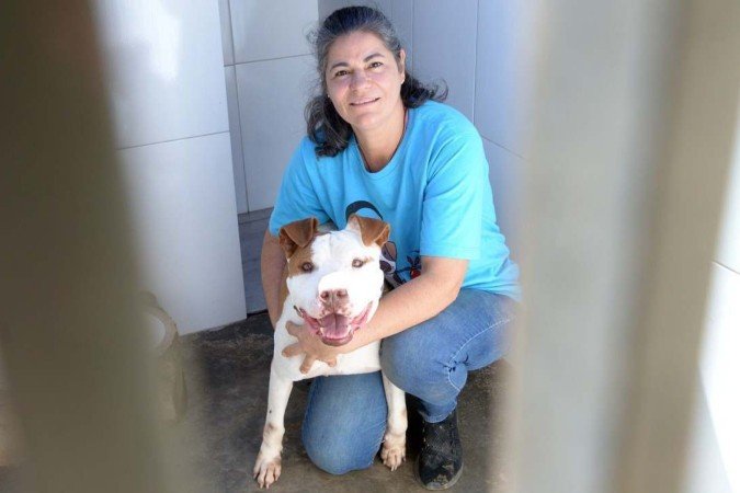 O pitbull Koda, na Toca Segura
