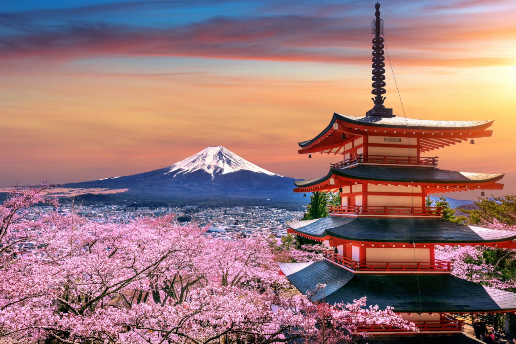  Cherry blossoms in spring, Chureito pagoda and Fuji mountain at sunset in Japan.
     -  (crédito: DINO)