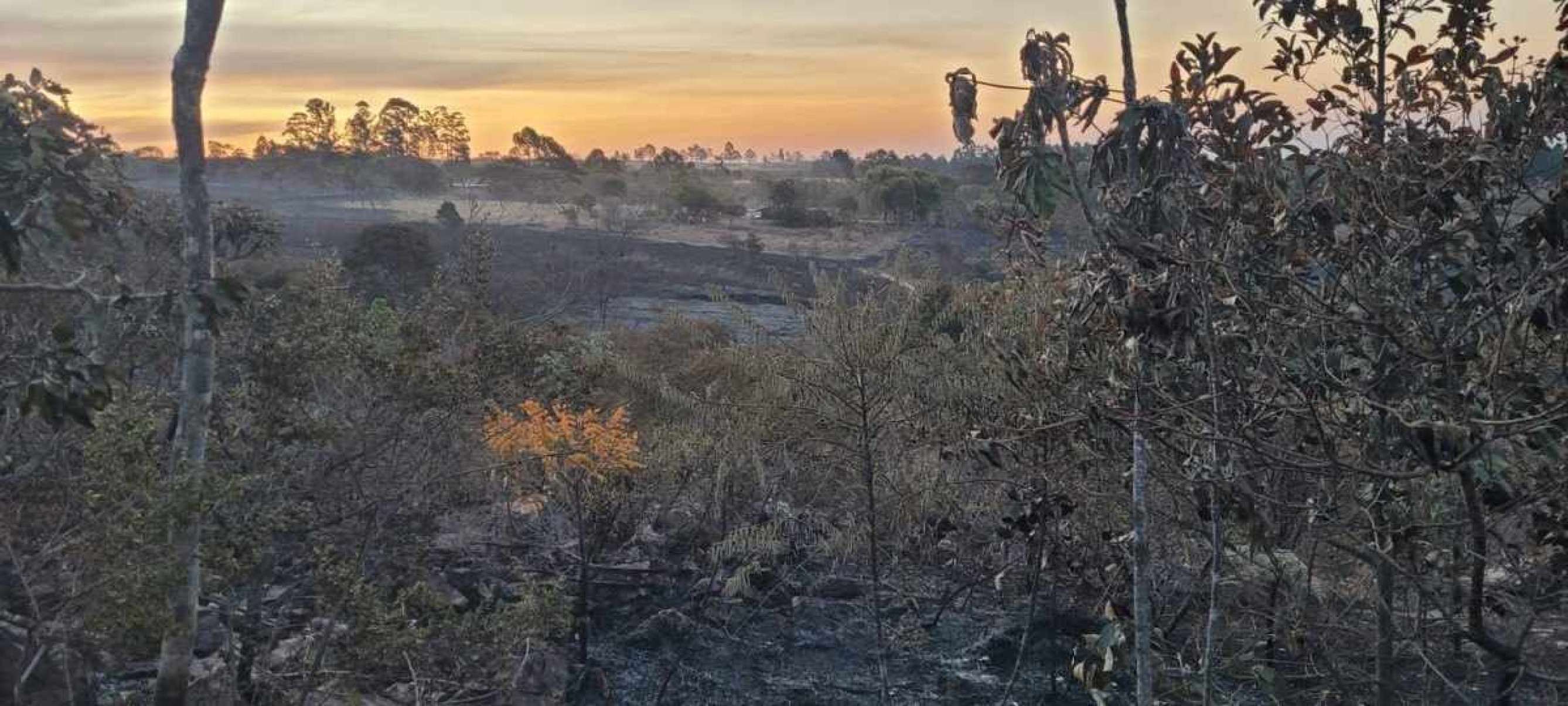 Incêndio no Cerrado consome propriedades rurais no Lago Oeste, próximo ao Parque Nacional de Brasília