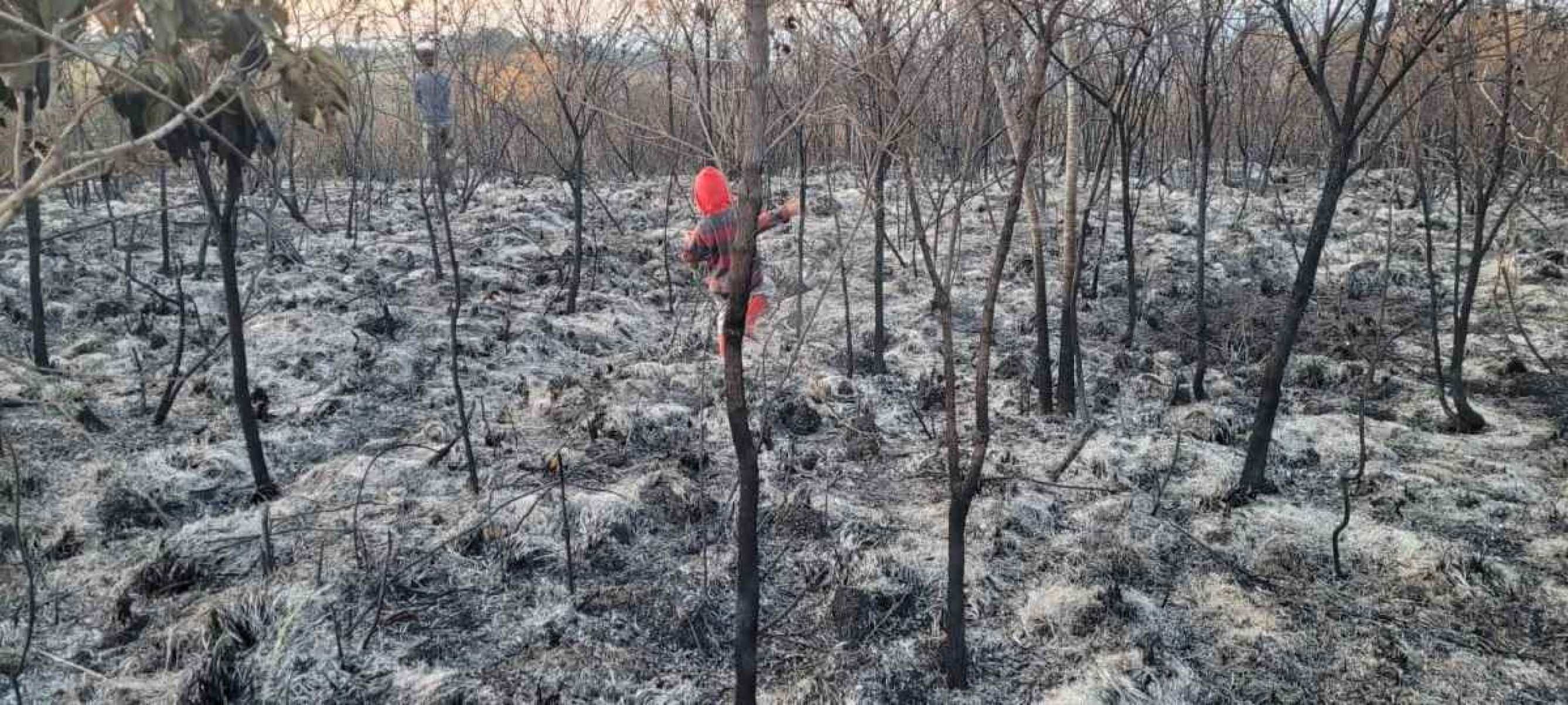 Incêndio no Cerrado consome propriedades rurais no Lago Oeste, próximo ao Parque Nacional de Brasília