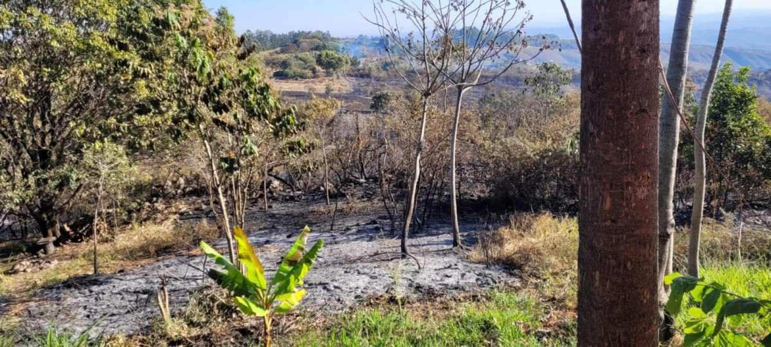 Incêndio no Cerrado consome propriedades rurais no Lago Oeste, próximo ao Parque Nacional de Brasília