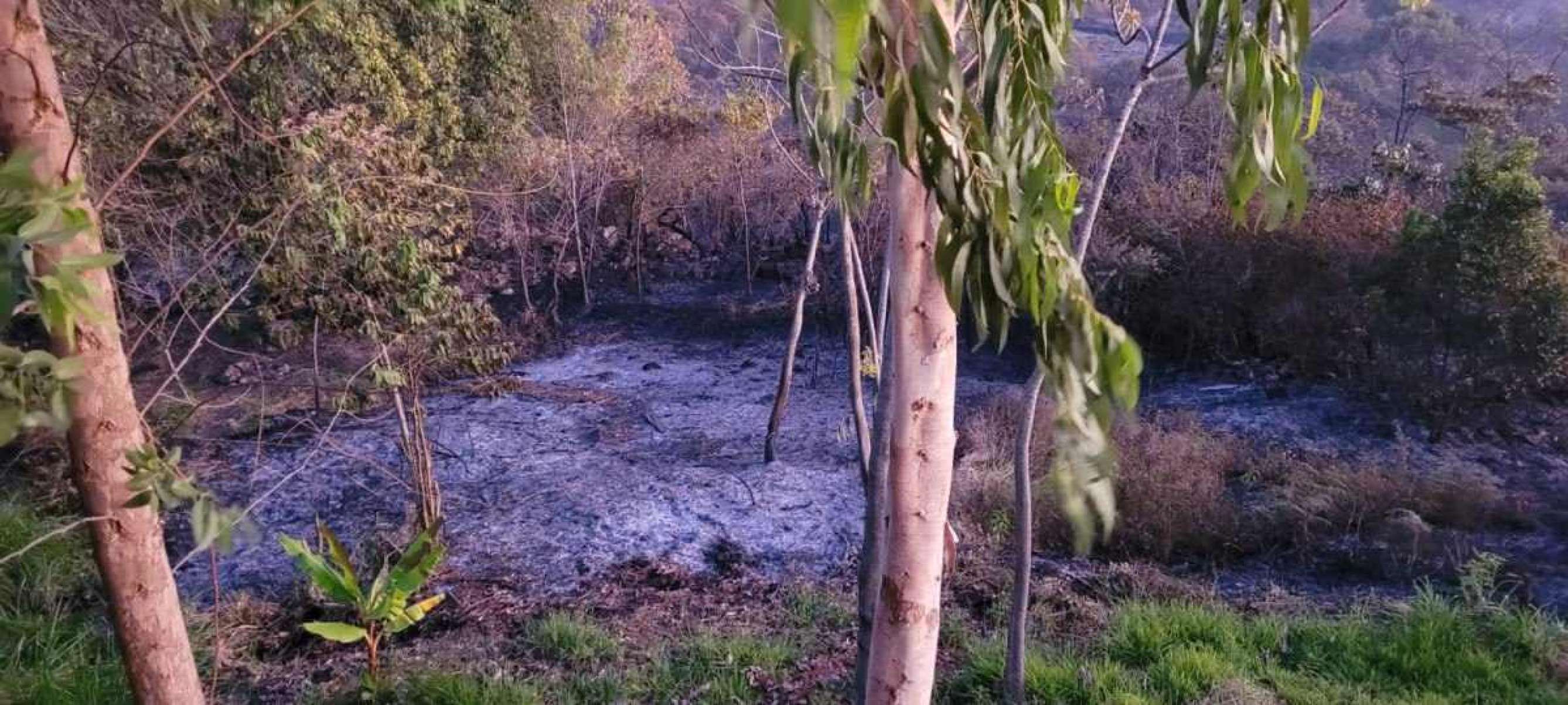 Incêndio no Cerrado consome propriedades rurais no Lago Oeste, próximo ao Parque Nacional de Brasília