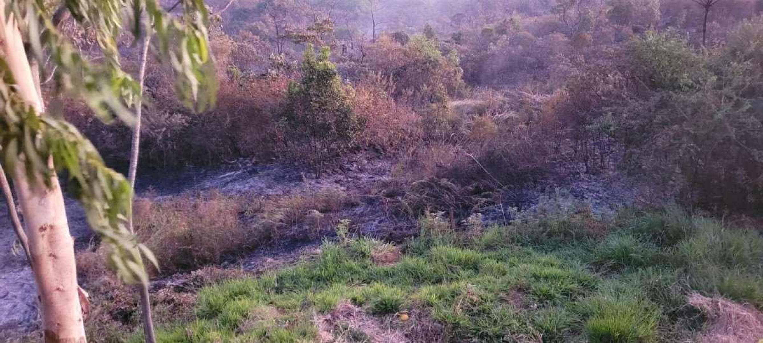 Incêndio no Cerrado consome propriedades rurais no Lago Oeste, próximo ao Parque Nacional de Brasília