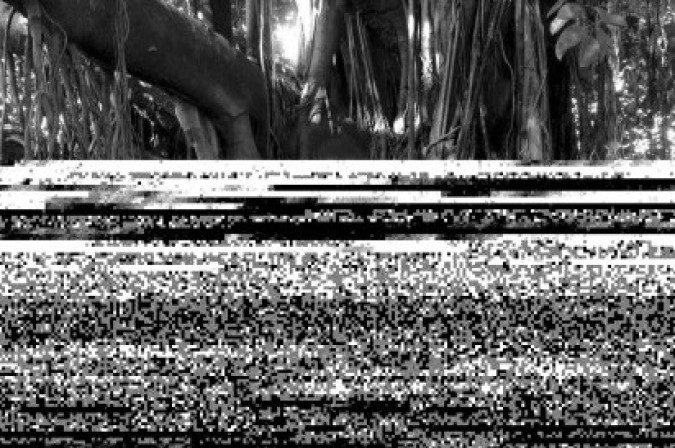 Bem querer: O olhar terno de Ripper — FOTO BSB  - III Festival de Fotojornalismo de Brasília
Exposição de João Ripper. Abertura amanhã, às 19h, no Espaço Cultural Ary Barroso (Sesc 504 Sul).Visitação até 31 de setembro, de segunda a sexta, das 9h às 20h.
