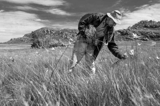 Exposi&ccedil;&atilde;o Bem querer: O olhar terno de Ripper &mdash; FOTO BSB  - III Festival de Fotojornalismo de Bras&iacute;lia
Exposi&ccedil;&atilde;o de Jo&atilde;o Ripper. Abertura amanh&atilde;, &agrave;s 19h, no Espa&ccedil;o Cultural Ary Barroso (Sesc 504 Sul).Visita&ccedil;&atilde;o at&eacute; 31 de setembro, de segunda a sexta, das 9h &agrave;s 20h.