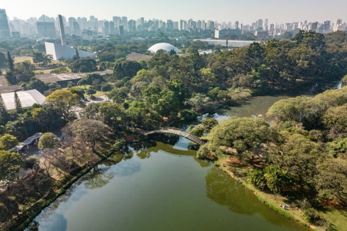 Pedalar em parques é uma excelente maneira de desfrutar da natureza enquanto pratica um exercício saudável (Imagem: pauloalberto82 | Shutterstock) -  (crédito: EdiCase)