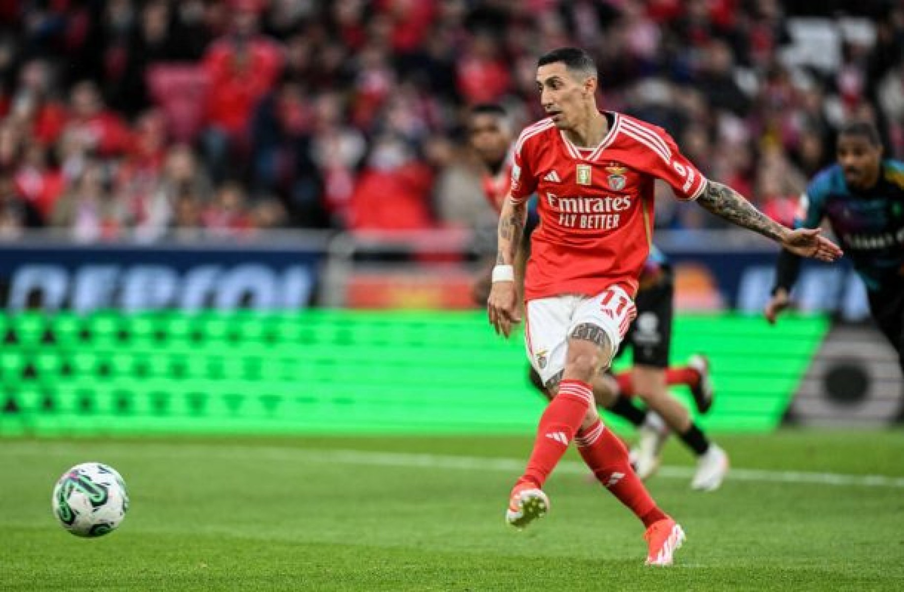 Benfica x Casa Pia: onde assistir e escalações