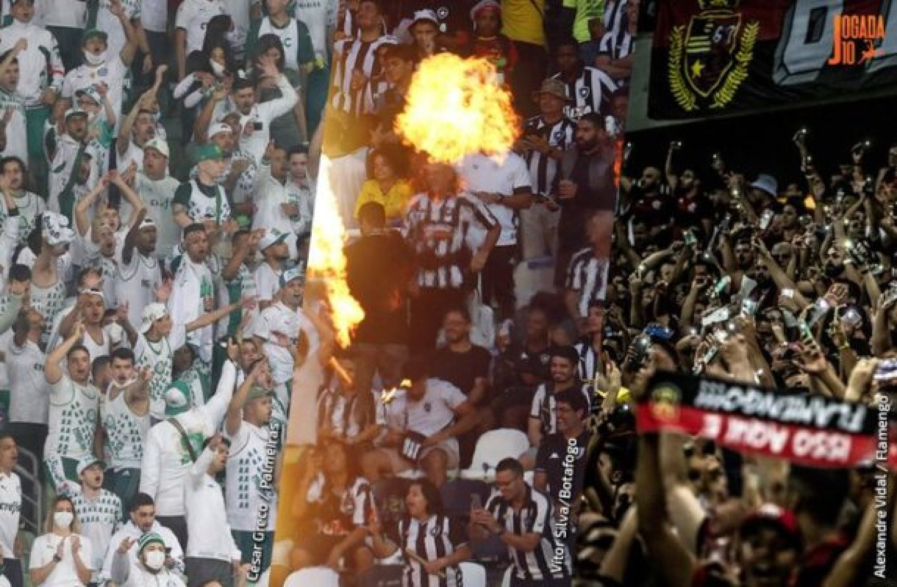 Foto: Divulgação Palmeiras e Botafogo