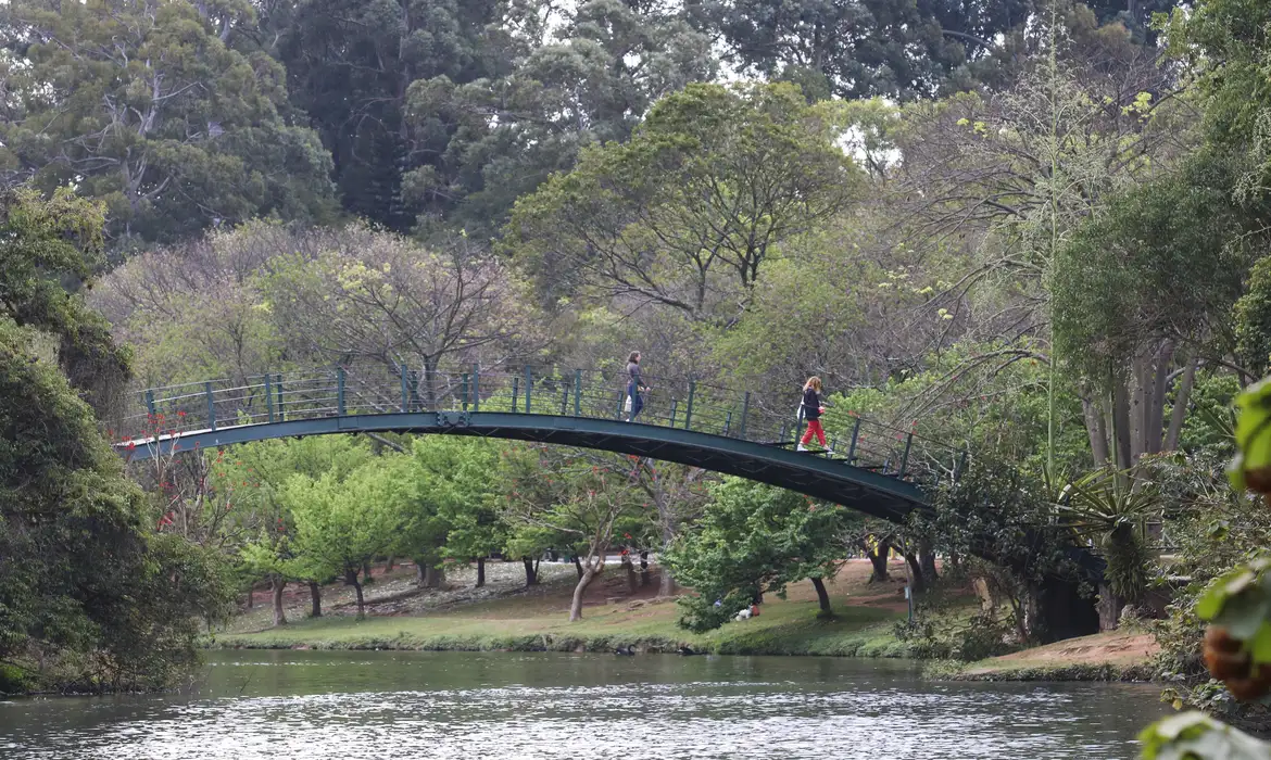 Hoje é Dia: Ibirapuera, Getúlio e Leminski são destaques da semana -  (crédito: EBC)