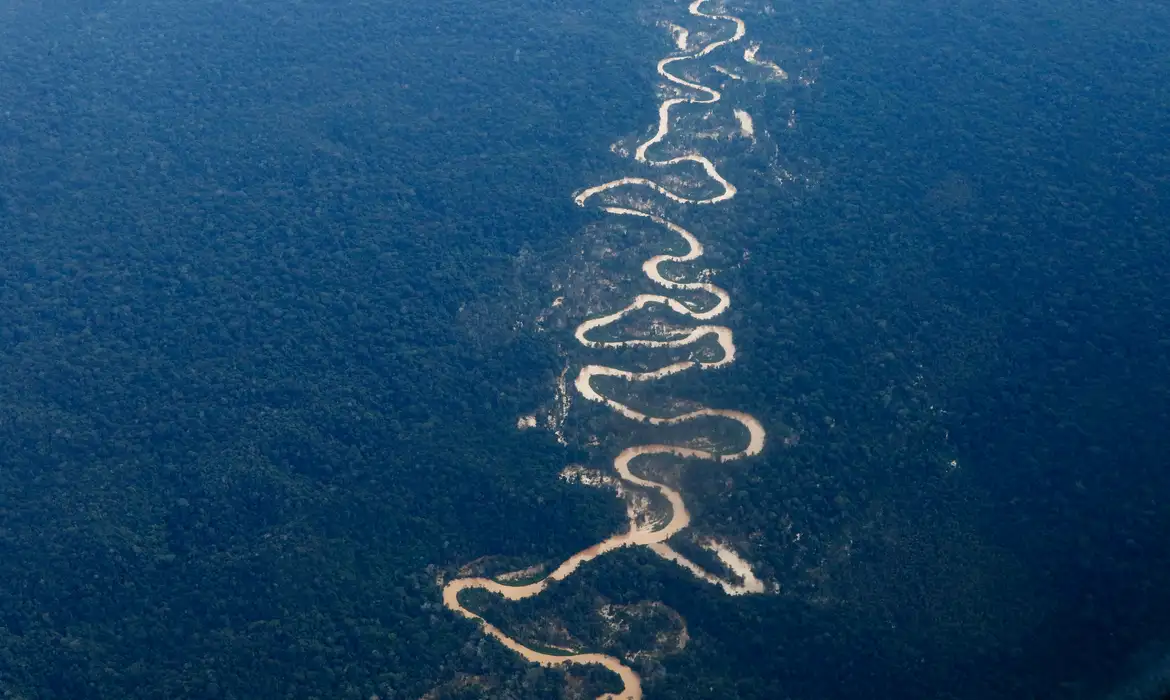 Projeto monitora rios na região da Terra Indígena Yanomami -  (crédito: EBC)