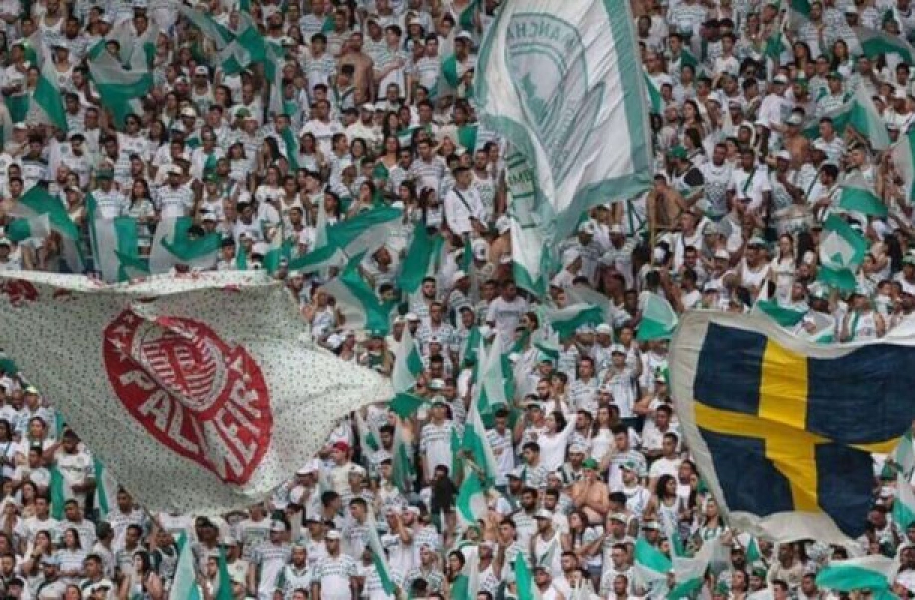 Cantos homofóbicos foram ecoados no Allianz Parque contra o São Paulo -  (crédito: Foto: Cesar Greco/Palmeiras/by Canon)