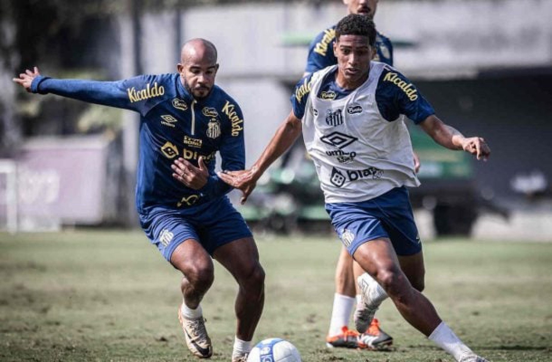 Santos divulga relacionados para enfrentar o Guarani; reforço fora da lista