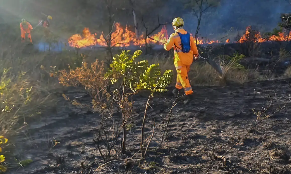 Incêndios atingem milhares de hectares em parques de Minas Gerais -  (crédito: EBC)