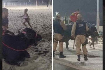 Vídeo: homem passeia com búfalo na praia e surpreende banhistas  - Reprodução / Redes sociais