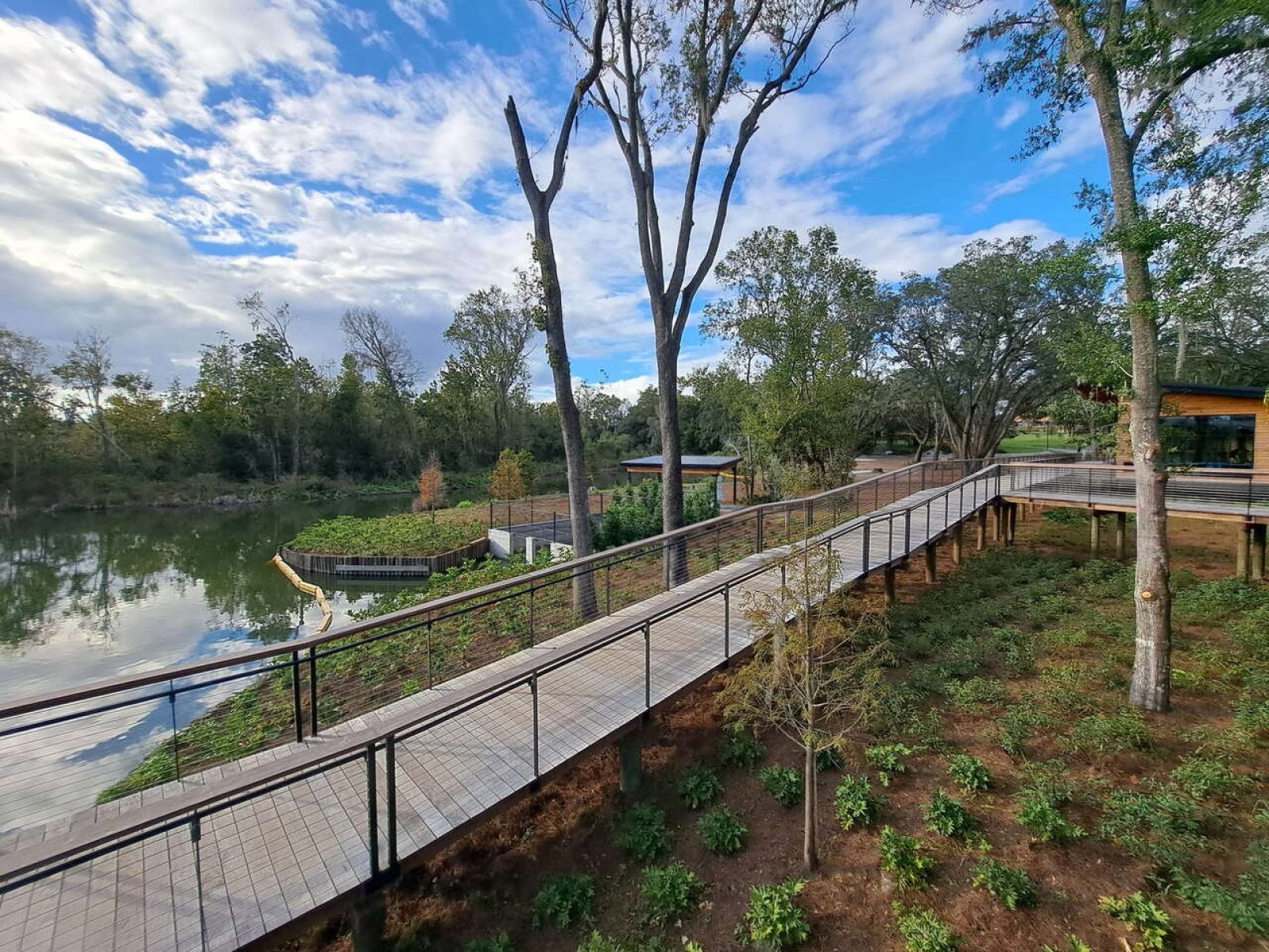 Bonnet Springs Park, um oásis único para se conectar com a natureza, arte e música na Flórida -  (crédito: Uai Turismo)