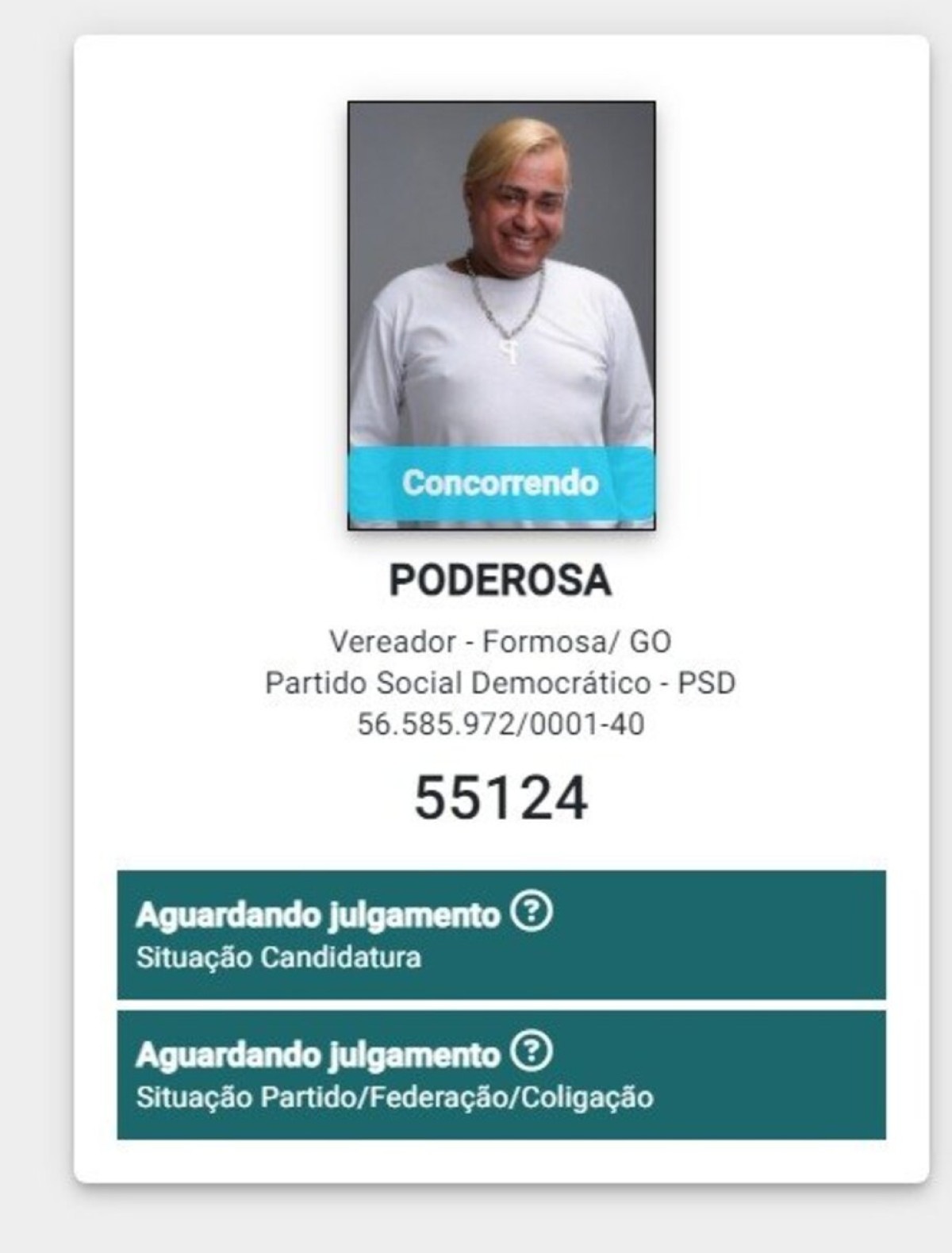 Os nomes de candidatos mais inusitados no entorno do DF