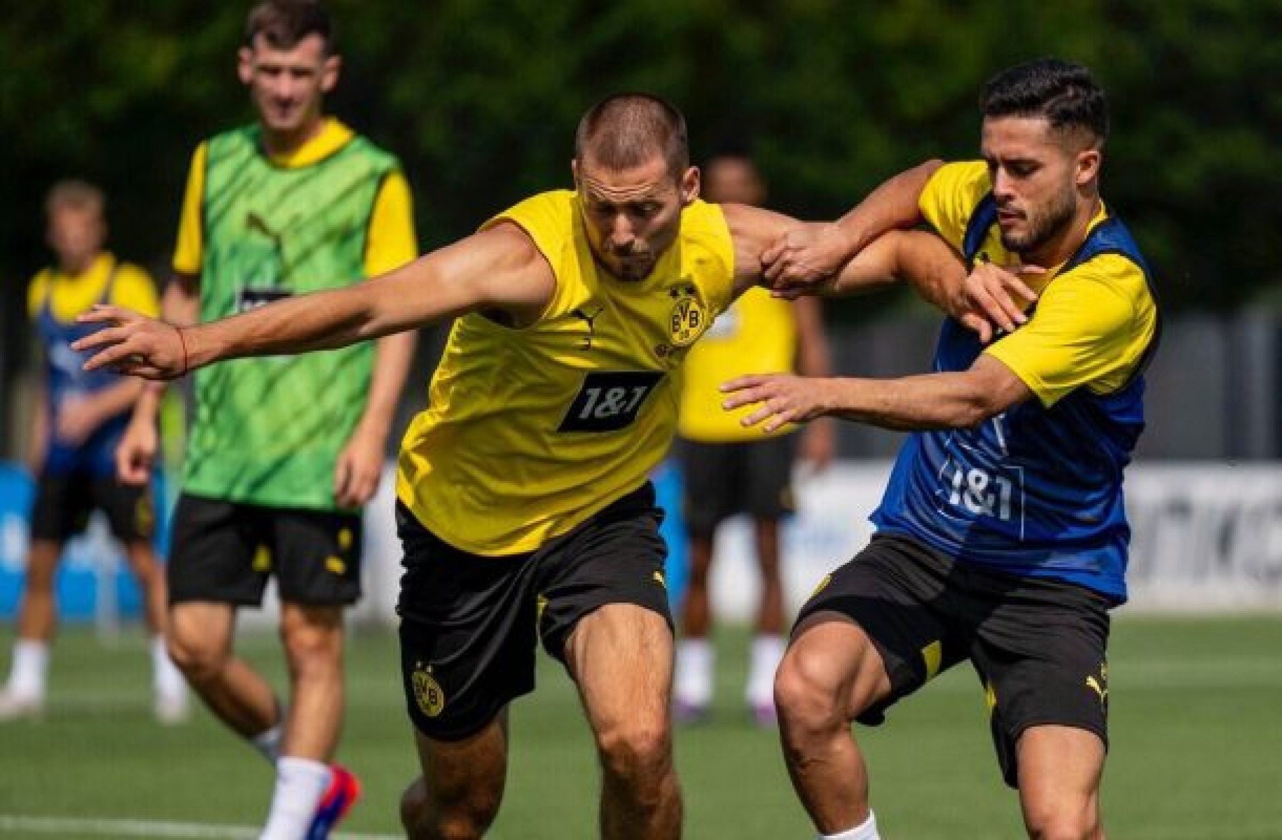 Borussia Dortmund x Eintracht Frankfurt: onde assistir, escalações e arbitragem