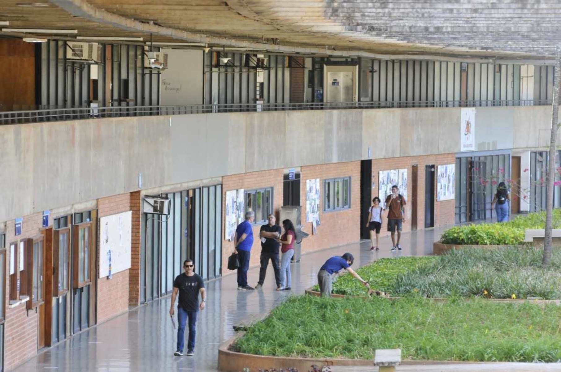 Segundo turno para escolher reitora da UnB começa nesta terça-feira (3/9)