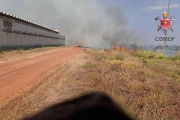 Nenhuma detenta precisou de atendimento médico, segundo informações repassadas ao Corpo de Bombeiros -  (crédito: Divulgação/CBMDF)