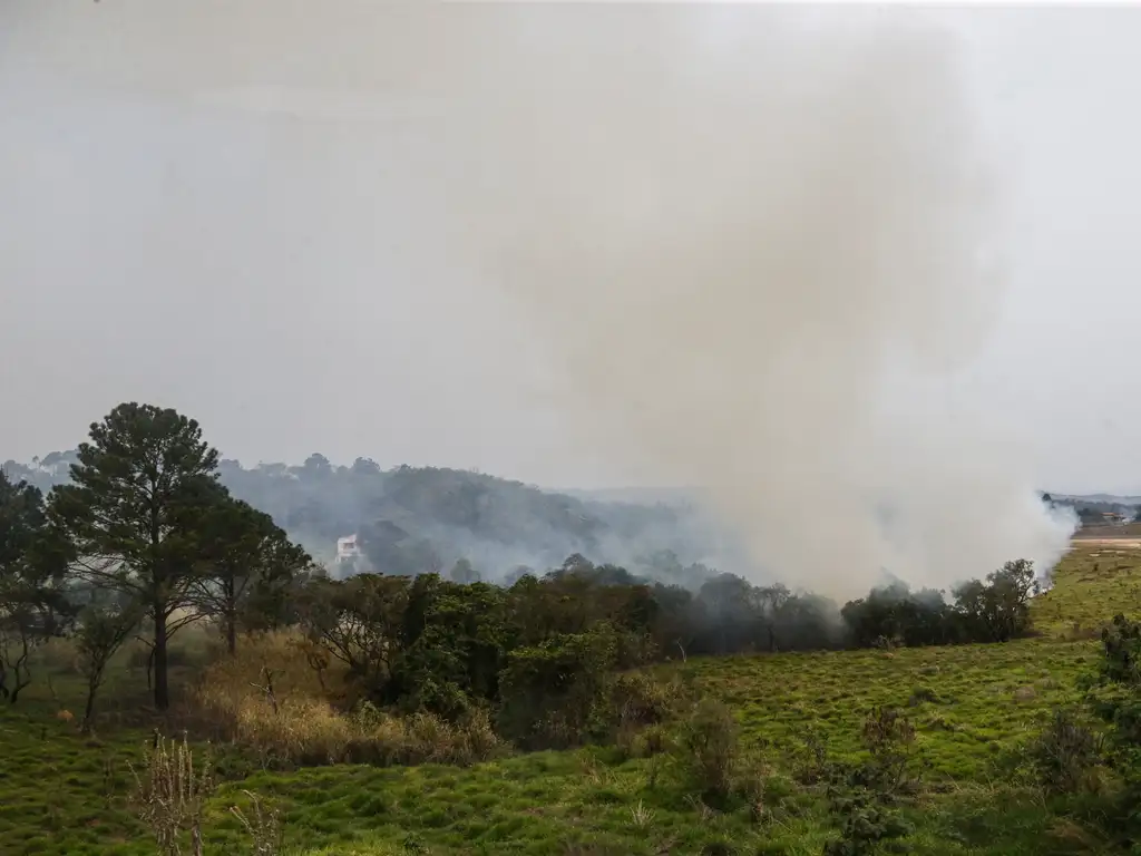 Foco de incêndio próximo a rodovia presidente Castelo Branco, em São Paulo. -  (crédito: Paulo Pinto/Agência Brasil)