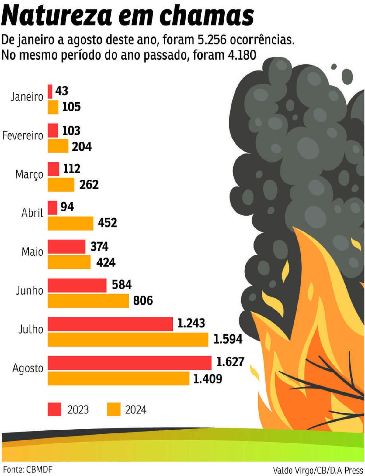 BRA-Incendios florestais