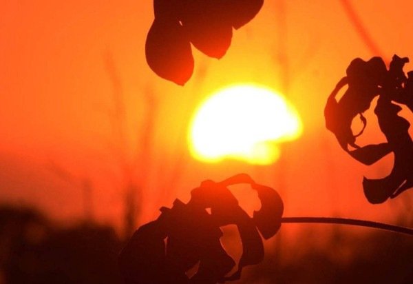  Ed Alves/CB/DA.Press