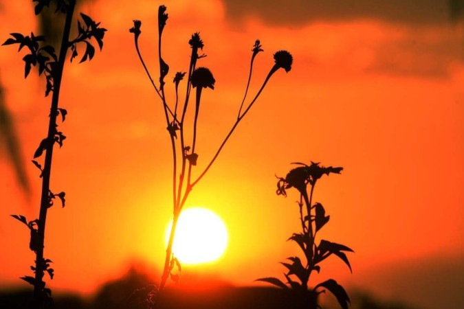 Além dos alertas de baixa umidade relativa do ar, há aviso de grande perigo para ondas de calor até as 23h59 de sexta-feira (13) -  (crédito:  Ed Alves/CB/DA.Press)