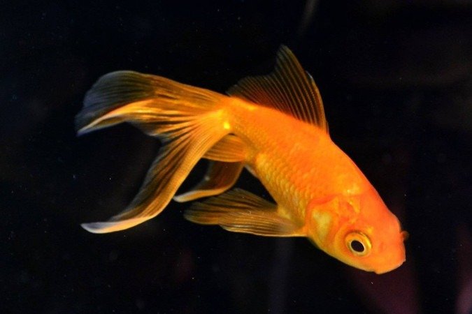  André mostra um dos diversos tanques marinhos que tem 
na Fish In a Box