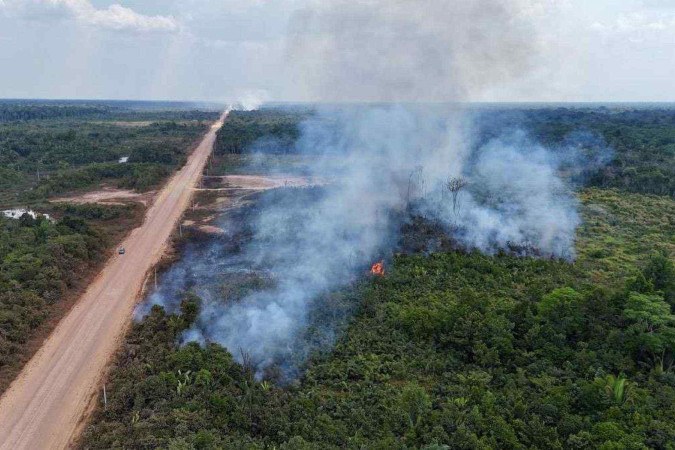 Entre os biomas, a Amazônia segue na liderança dos focos de incêndio, com quase 66 mil casos somente neste ano -  (crédito: EVARISTO SA / AFP)