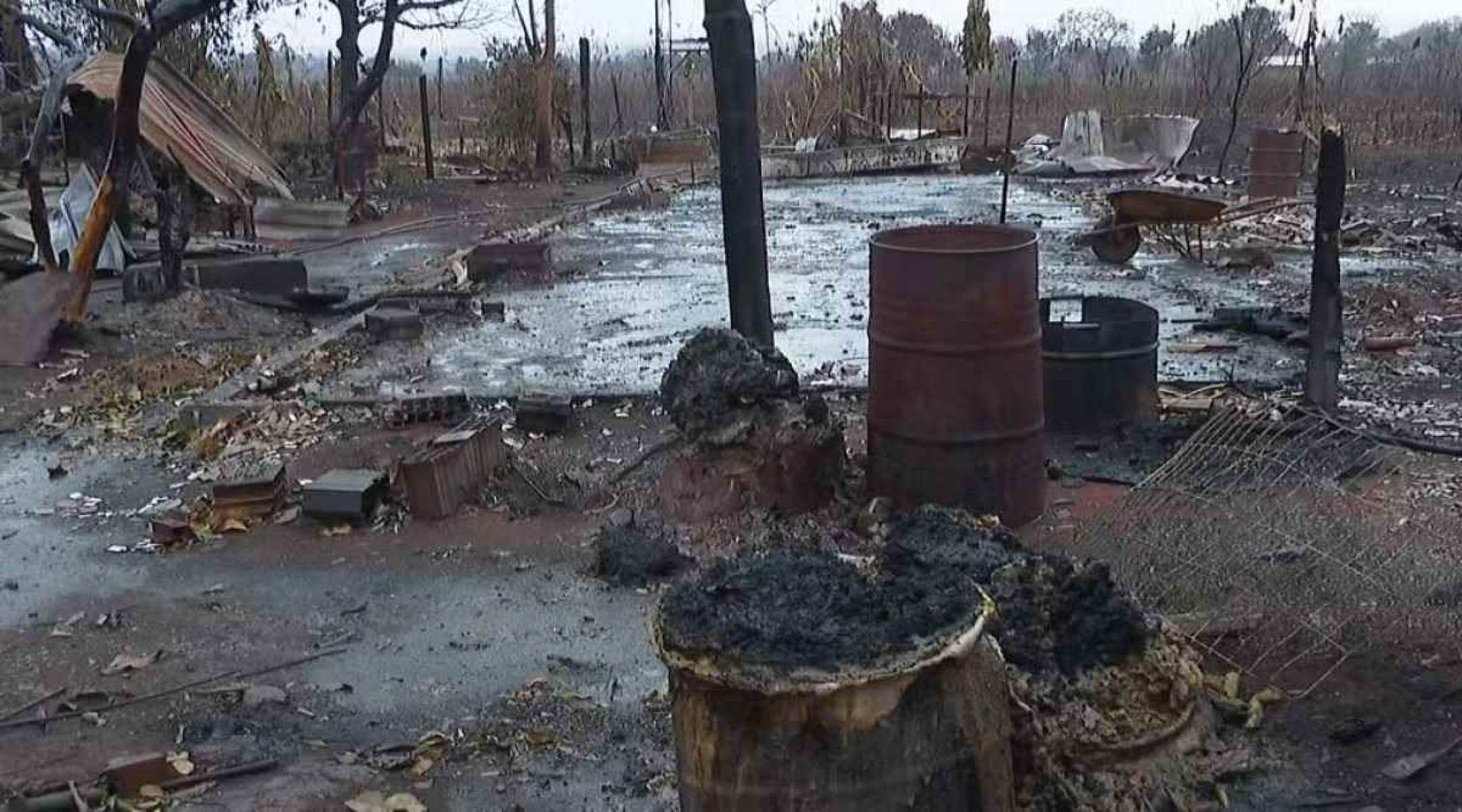 Incêndio no interior de São Paulo mata mais de 200 animais