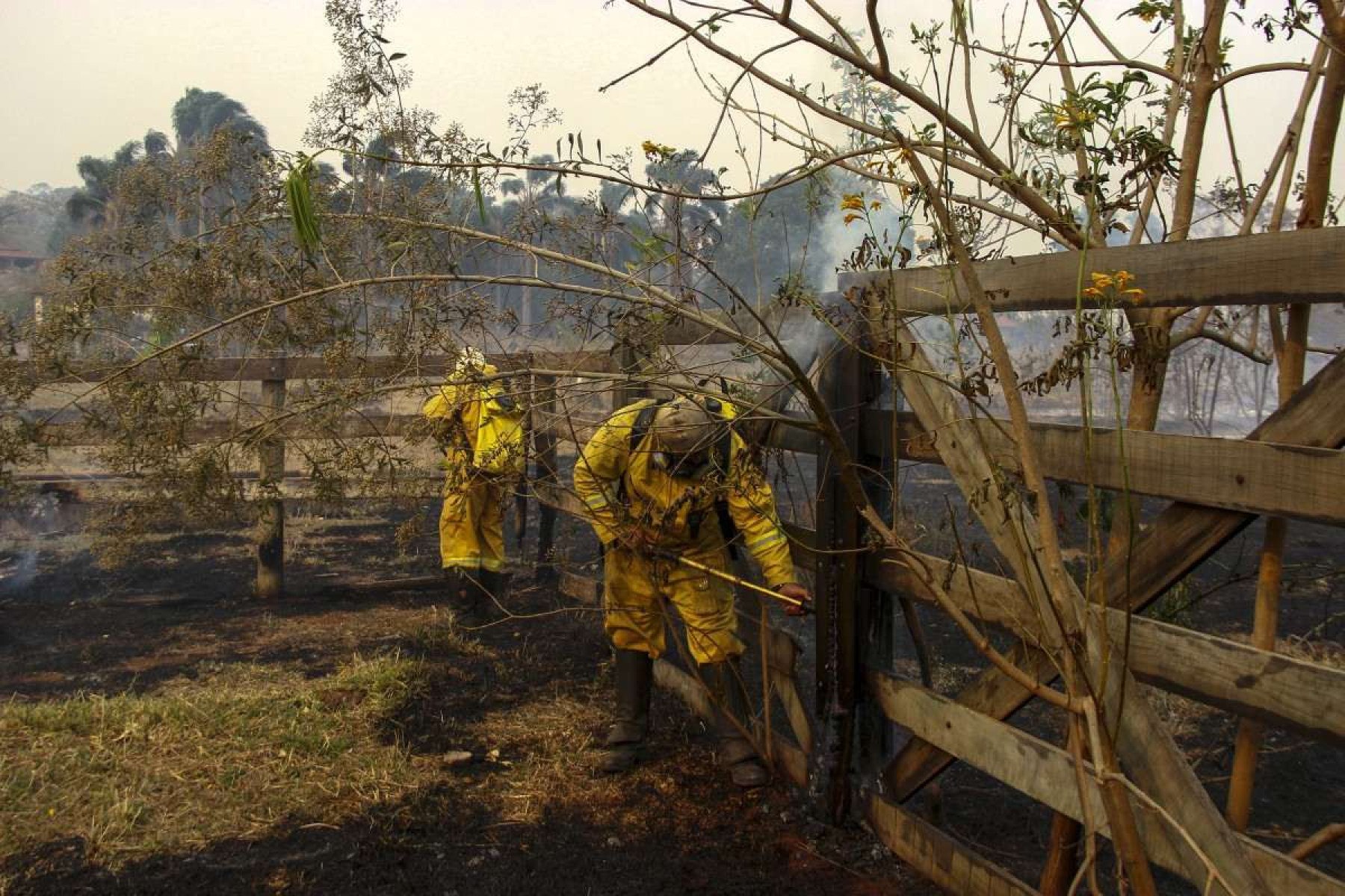 Bombeiros borrifam água em uma fazenda afetada por incêndios florestais em São Carlos, estado de São Paulo, Brasil, em 24 de agosto de 2024      