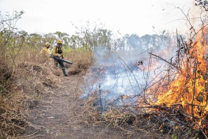 Incêndios florestais assolam diversas regiões do país e PF investiga causas -  (crédito: Vitor Vasconcelos / Secom / Presidência da República)