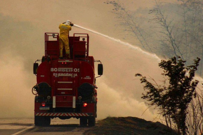 Imagens disponibilizadas pelo Inpe mostram os focos de incêndio no país; a situação ficou muito acima do normal no Estado de São Paulo entre 22 e 23 de agosto -  (crédito: Inpe)